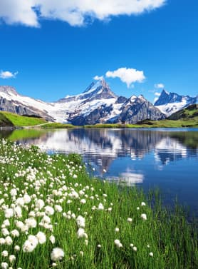 24045 ทัวร์สวิตเซอร์แลนด์ วัน 6 คืน STG164 บ่อหมีสีน้ำตาล เขากอร์นเนอร์แกรต ปราสาทน้ำแข็ง เมืองกรินเดลวัลด์ 9 บิน การบินไทย