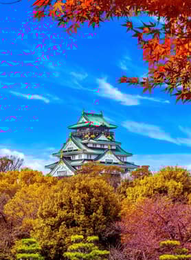 24058 ทัวร์ญี่ปุ่น วัน 3 คืน JVZ275 ขึ้นกระเช้าลอยฟ้าโกไซโซ ถนนชาเขียว ปราสาทโอซาก้า 5 บิน ไทยเวียตเจ็ท