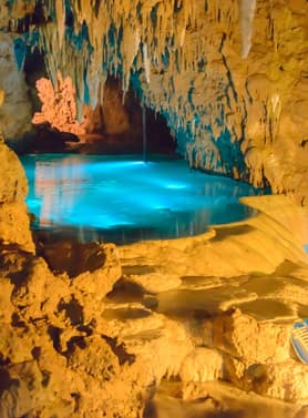 24069 ทัวร์ญี่ปุ่น วัน 3 คืน FD039 พิพิธภัณฑ์สัตว์น้ำซุราอุมิ ถ้ำธารมรกต ศาลเจ้านามิโนะอุเอะ 4 บิน Thai AirAsia