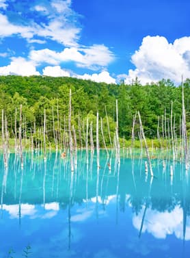 24086 ทัวร์ญี่ปุ่น วัน 3 คืน BT-CTS_A01_XJ บ่อน้ำสีฟ้า ศาลเจ้าฮอกไกโด คลองโอตารุ หมู่บ้านนิงเกิ้ลเทอเรซ 5 บิน ไทยแอร์เอเชียเอกซ์