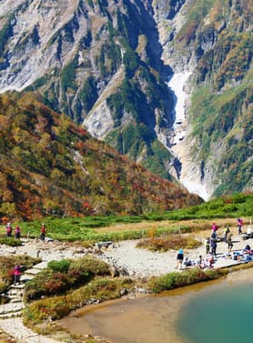 24113 ทัวร์ญี่ปุ่น วัน 5 คืน GO2HND-TG054 หมู่บ้านมรดกโลก ชิราคาวาโกะ บ่อน้ำพุร้อนยูบาทาเกะ ช้อปปิ้งชินไซบาชิ 7 บิน การบินไทย