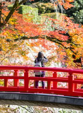 24114 ทัวร์ญี่ปุ่น วัน 4 คืน GO2HND-TG056 วัดไทเซคิจิ อุโมงค์ใบเมเปิ้ล ช้อปปิ้งซาคาเอะ 6 บิน การบินไทย