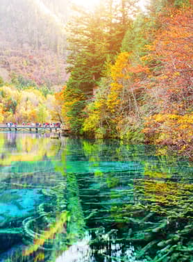 24171 ทัวร์จีน วัน 5 คืน 2UTFU-3U004 จิ่วจ้ายโกว เมืองโบราณซงพาน ถนนคนเดินไท่กู่หลี่ วัดต้าฉือ 6 บิน Sichuan Airlines