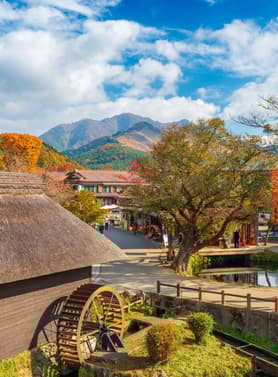 24183 ทัวร์ญี่ปุ่น วัน 4 คืน GO2NRT-TG078 ศาลเจ้าโทโชคุ ชมโชว์การแสดงนินจา โอชิโนะฮักไก ฟรีเดย์หนึ่งวัน 6 บิน การบินไทย