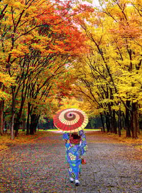 24223 ทัวร์ญี่ปุ่น วัน 4 คืน GO2KIX-TG085 ปราสาทฮิเมจิ สวยโอคายาม่า โคราคุเอ็น ภูเขาไดเซ็น 6 บิน การบินไทย