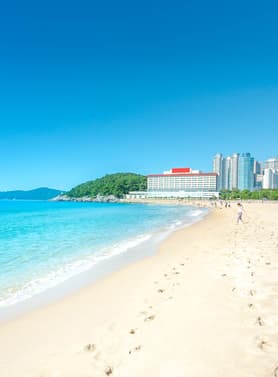24736 ทัวร์เกาหลี วัน 3 คืน 2UPUS-BX001 ถนนอาร์ตสตรีทวง BTS สะพานกวังอัน หาดแฮอึนแด อุโมางค์ไวน์แห่งเมืองปูซาน 5 บิน Air Busan