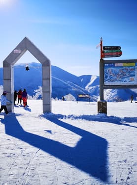 25237 ทัวร์ญี่ปุ่น วัน 4 คืน นิงเกิ้ลเทอเรส หุบเขานรกจิโกกุดานิ งานประดับไฟ Lake Toya Onsen Illumination Tunnel 6 บิน การบินไทย