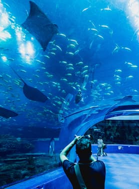 26736 ทัวร์จีน วัน 3 คืน บ้านตระกูลเฉิน เกาะซาเมี่ยน สวนสนุกฉางหลง เมืองโบราณหนานโถว 5 บิน Thai Lion Air