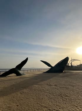 26950 ทัวร์จีน วัน 5 คืน อ่าวจันทรา หาดหญ้าทะเลแดง เวนิสแห่งต้าเหลียน จัตุรัส 54 6 บิน ไทยเวียตเจ็ท