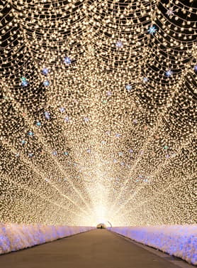26964 ทัวร์ญี่ปุ่น วัน 3 คืน ศาลเจ้านัมบะ ชมงานประดับไฟนาบานะโนะซาโตะ Takasu Snow Park 5 บิน ไทยเวียตเจ็ท