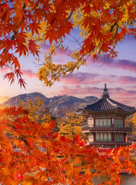 27250 ทัวร์เกาหลี วัน 3 คืน หุบเขาศิลปะโพชอน พระราชวังเคียงบก หมู่บ้านวัฒนธรรมอึนพยอง สวนฮานึล 5 บิน T'way Airlines