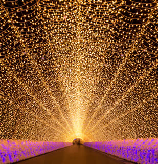 เที่ยวเทศกาล