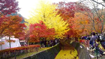 4 ประเทศ ยอดฮิต พิชิต ใบไม้เปลี่ยนสี