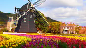 เฮ้าส์เทนบอช - Huis Ten Bosch