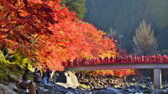 โค้งสุดท้าย บอกลาใบไม้เปลี่ยนสีที่ " โครังเค " (Korankei, 香嵐渓)