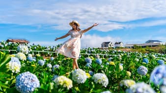 เที่ยวเวียดนามเดือนไหนดี ? มีอะไรน่าสนใจต้องไปดู!