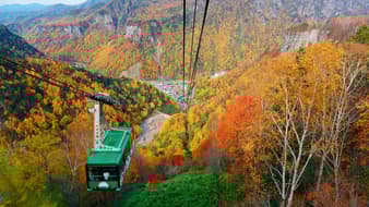 เปิดวาร์ป 7 จุดชมใบไม้เปลี่ยนสีที่ฮอกไกโด