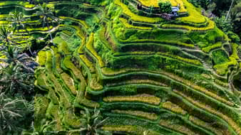 อินโดนีเซีย Chill & Adventure