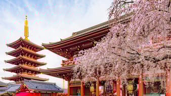 เที่ยวญี่ปุ่นปีใหม่ ไฉไลกว่าเดิม ! 10 กิจกรรมเที่ยวญี่ปุ่นช่วงปีใหม่