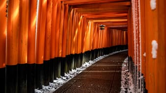 TOKYO – FUJI 5D3N : รีวิวทัวร์โตเกียว ไปทัวร์คนเดียว..ก็เปรี้ยวได้ !! 