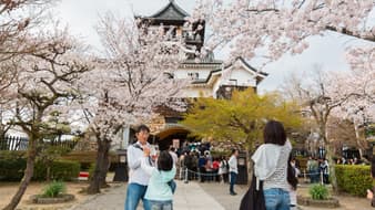 ไปถึงที่อย่าให้เสียชื่อคนไทย 4 มารยาทการชมซากุระที่ถูกต้อง แบบฉบับคนญี่ปุ่น