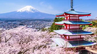 4 เหตุผล ทำไมคนญี่ปุ่นถึงให้ความสำคัญกับการชม ‘ซากุระ’ ที่ญี่ปุ่น