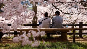 รวม 6 ไอเทมที่ต้องมี !! ก่อนไป "ชมซากุระ" งานนี้ดีต่อใจนั่งเพลินได้ทั้งวัน