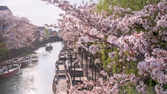 เทศกาลสุดพิเศษที่ห้ามพลาดใน ทัวร์ญี่ปุ่น เดือนมีนาคม !!