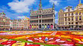 2 ปีมี 1 ครั้ง !! “เทศกาลพรมดอกไม้” บนจัตุรัสสวยสุดในโลกกลางบรัสเซลส์ ประเทศเบลเยี่ยม