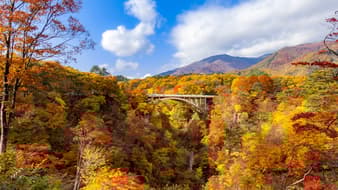 สุดว้าว !! เส้นทางใหม่ เที่ยวเซนได ชมใบไม้เปลี่ยนสี