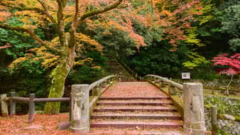 9 พิกัดเก็บจุดชมใบไม้เปลี่ยนสีที่ญี่ปุ่น โอซาก้า