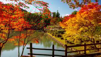 ตะลอนเที่ยวทาคายาม่า 1 วัน เมืองแห่งมนต์เสน่ห์ในญี่ปุ่น