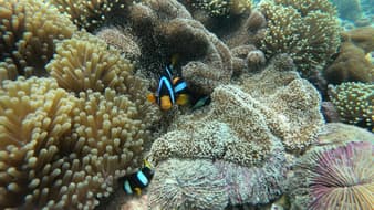 10 จุดเที่ยวทะเลพม่า สวยมากไปเที่ยวเลยหน้าร้อนนี้