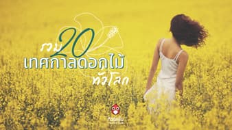 หนึ่งปีมีครั้งเดียว รวม 20 เทศกาลดอกไม้ทั่วโลก ที่สาวๆ ต้องไปถ่ายรูป