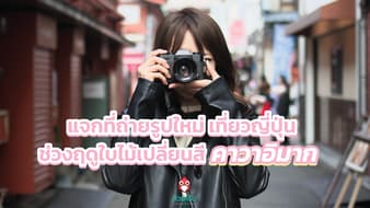 แจกที่ถ่ายรูปใหม่ เที่ยวญี่ปุ่น ช่วงฤดูใบไม้เปลี่ยนสี คาวาอิมาก