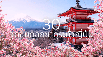 ไปแล้วไม่ผิดหวัง! 30 พิกัดชม ซากุระ ญี่ปุ่น สวยสุดปักหมุดไว้ได้เลย