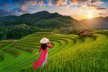 18623 ทัวร์เวียดนาม วัน 3 คืน 4 วัน 3 4 บิน VietJet Air