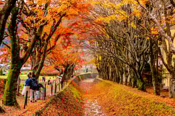 19398 ทัวร์ญี่ปุ่น วัน 4 คืน XJ285 ภูเขาไฟฟูจิ พระใหญ่อุชิคุ ไดบุสสึ 6 บิน ไทยแอร์เอเชียเอกซ์