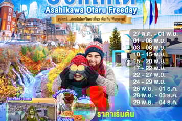 19556 ทัวร์ญี่ปุ่น วัน 4 คืน  6 บิน ไทยแอร์เอเชียเอกซ์