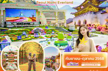 19865 ทัวร์เกาหลี วัน 3 คืน 3คืน 5 บิน AIR BUSAN
