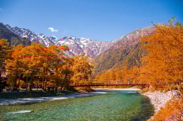 20508 ทัวร์ญี่ปุ่น วัน 3 คืน  5 บิน ไทยแอร์เอเชียเอกซ์