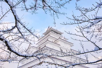 20788 ทัวร์ญี่ปุ่น วัน 3 คืน TOHOKU SENDAI GINZAN ONSEN FUKUSHIMA SNOW 5 บิน ไทยแอร์เอเชียเอกซ์