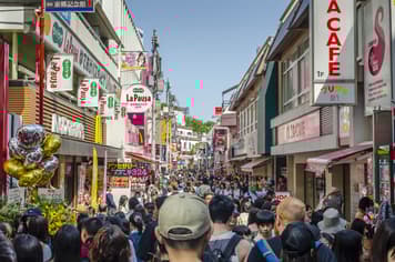 20906 ทัวร์ญี่ปุ่น วัน 3 คืน ถนนต้นแปะก๊วยสีทอง วัดไทเซคิจิ 5 บิน ไทยแอร์เอเชียเอกซ์