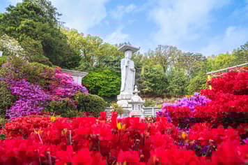 20912 ทัวร์เกาหลี วัน 3 คืน วัดพงอึนซา Everland 5 บิน Air Busan