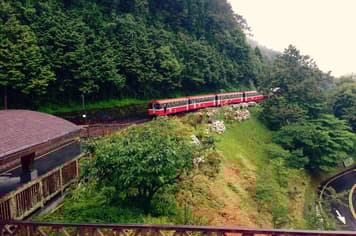 21076 ทัวร์ไต้หวัน วัน 3 คืน เมืองเจียอี้ อาลีซาน ล่องเรือสุริยันจันทรา บรูราโน่แห่งไต้หวัน วัดหลงซาน 5 บิน Eva Air