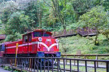 21354 ทัวร์ไต้หวัน วัน 3 คืน GO1TPE-BR111 ทะเลสาบชมสุริยันจันทรา ไถจงไนท์มาร์เก็ต สระนางฟ้า ป่าซีดาร์และต้นไม้พันปี 5 บิน Eva Air