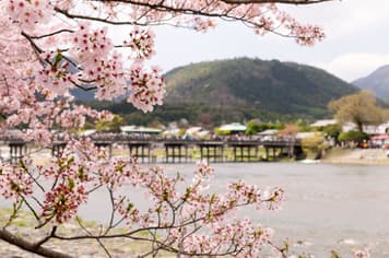 21359 ทัวร์ญี่ปุ่น วัน 4 คืน  6 บิน การบินไทย