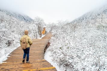 21398 ทัวร์จีน วัน 4 คืน ZGTFU-2553MU อุทยานภูเขาสี่ดรุณี หุบเขาชวงเฉียวโกว สะพานโบราณหนานเฉียว ซอยกว้างซอยแคบ 5 บิน China Eastern Airlines