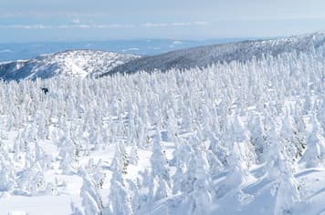 21436 ทัวร์ญี่ปุ่น วัน 4 คืน ZGSDJ-2601BR หมู่บ้านโออุจิจูคุ ทะเลสาบอินะวะชิโระ ถนนคลิสโรด หมู่บ้านสุนัขจิ้งจอก 6 บิน Eva Air