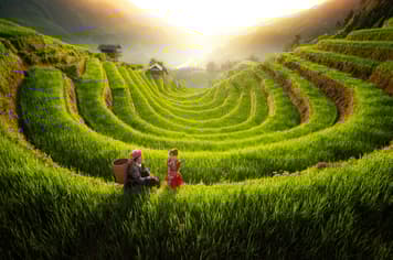 21452 ทัวร์เวียดนาม วัน 4 คืน GO1HAN-VJ111 Moana Sapa หมู่บ้านากั๊ตกั๊ต โบสถ์หิน จตุรัสบาดิงห์ 5 บิน VietJet Air